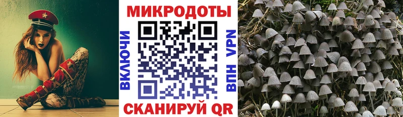 Псилоцибиновые грибы GOLDEN TEACHER  Бикин 